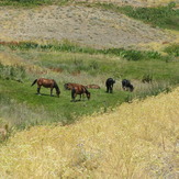 piazchal valley, Tochal