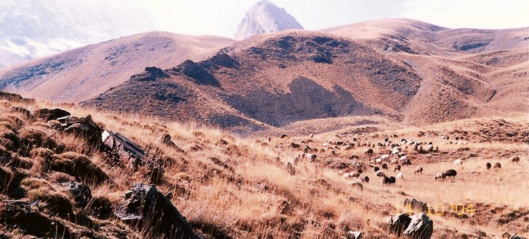naser ramezani, آزاد کوه‎‎