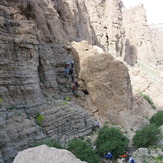 naser ramezani, شيركوه‎‎