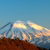 Lonquimay Volcano