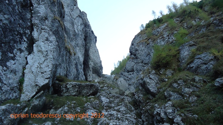 Coltilor Valley