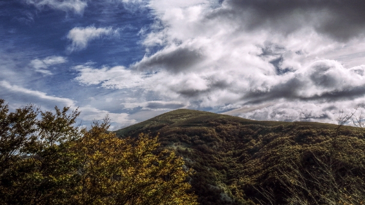 Gorbeiagane, Gorbea