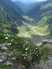 Vistea valley from close to the peak, Moldoveanu photo