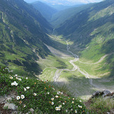 Vistea valley from close to the peak, Moldoveanu