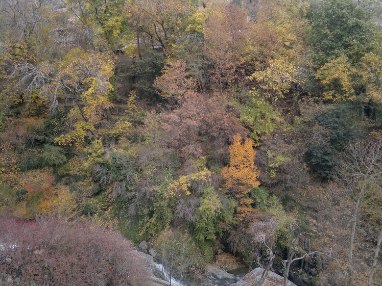 Darband, Tochal