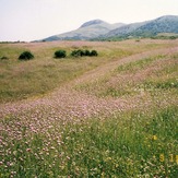 Naser Ramezani, سبلان