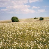 Naser Ramezani, سبلان