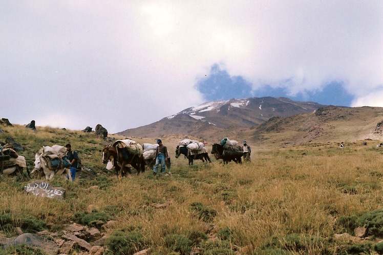 Naser Ramezani, Damavand (دماوند)