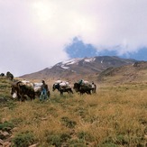 Naser Ramezani, Damavand (دماوند)