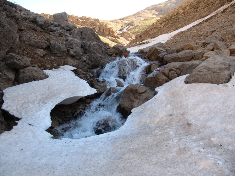قالیکوه