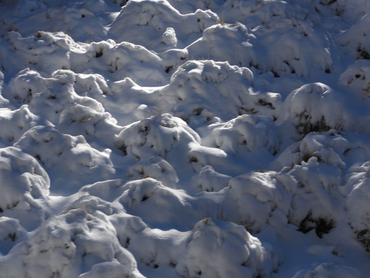 As bread sprouts and snow, Nevado de Colima