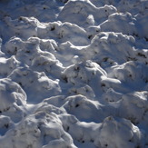 As bread sprouts and snow, Nevado de Colima