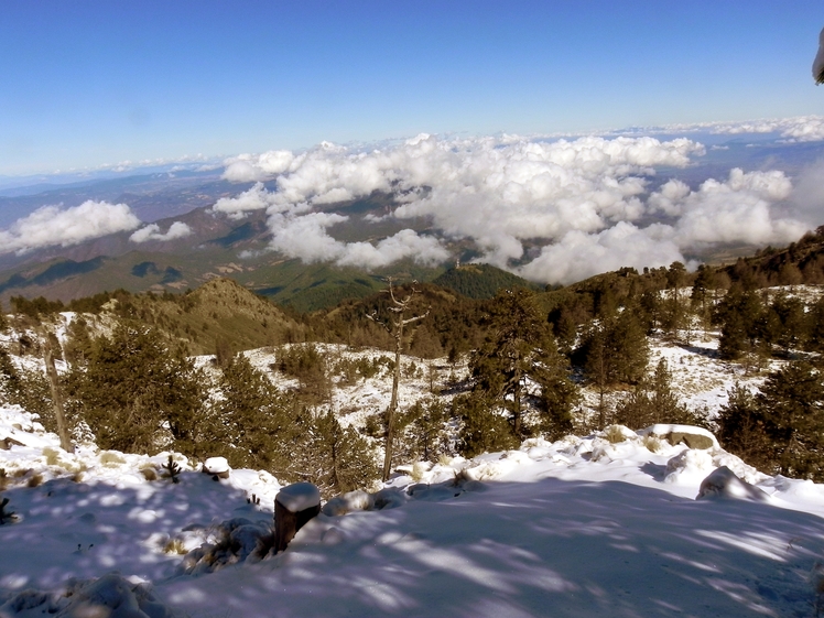 An unforgettable day in the mountains, Nevado de Colima