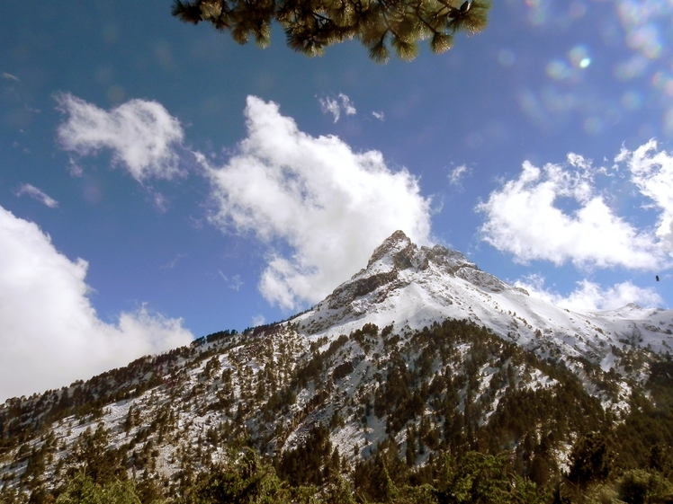 White beauty, Nevado de Colima