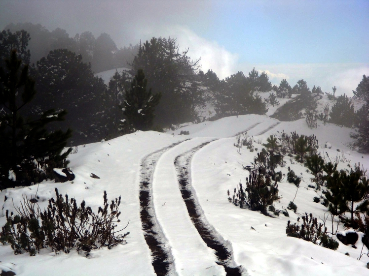 Year of snow., Nevado de Colima