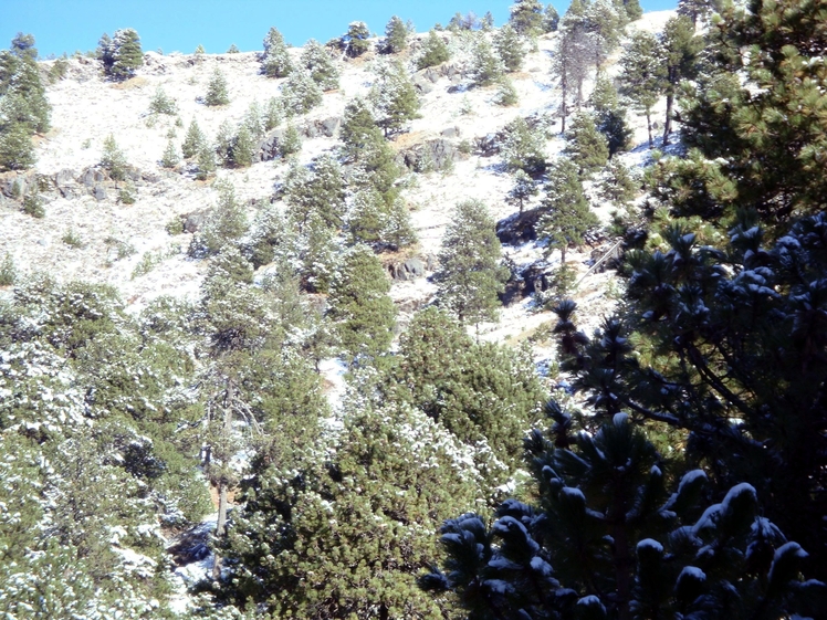 Awesome, Nevado de Colima