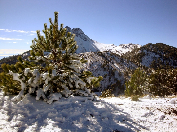 The lovely White Season, Nevado de Colima