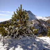 The lovely White Season, Nevado de Colima