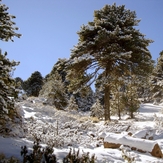 Beautiful place when it snowed, Nevado de Colima