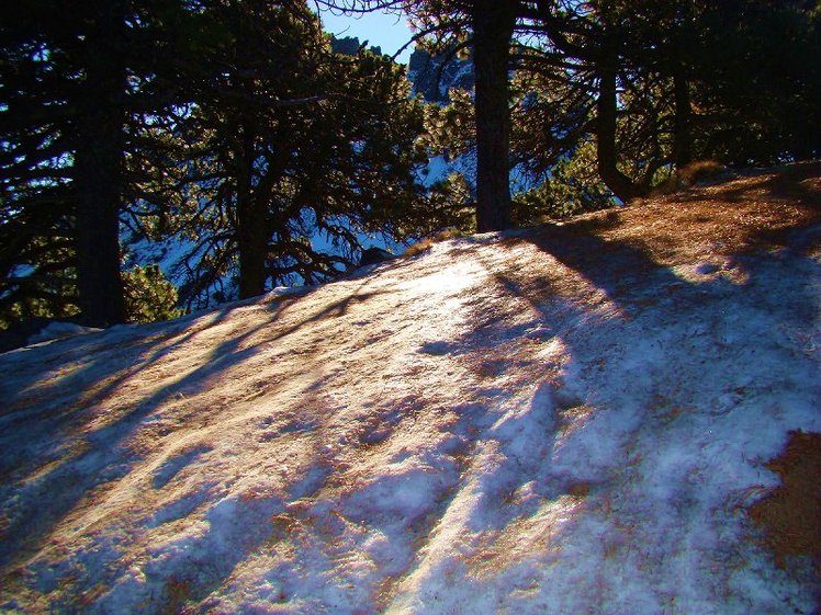 The brightness of white, Nevado de Colima