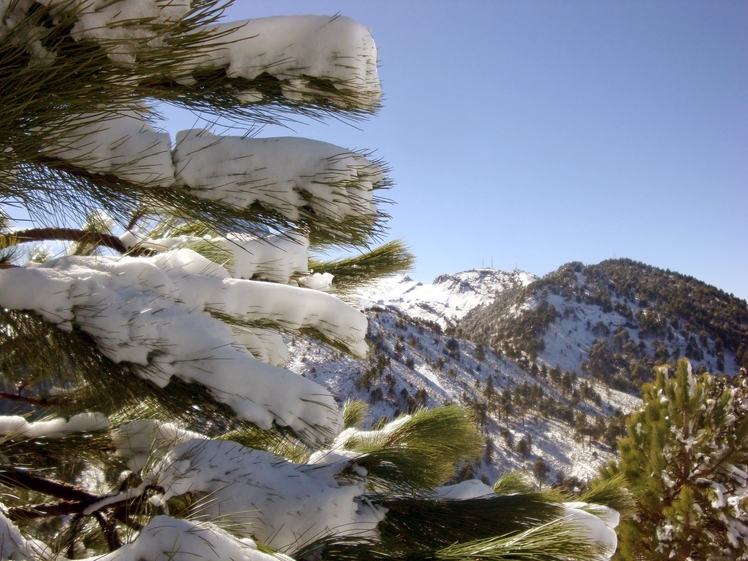 The season expected by all, Nevado de Colima