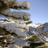 The season expected by all, Nevado de Colima