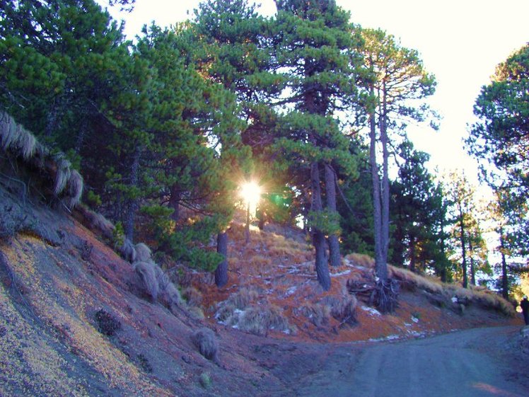 Never miss a Light of Hope, Nevado de Colima