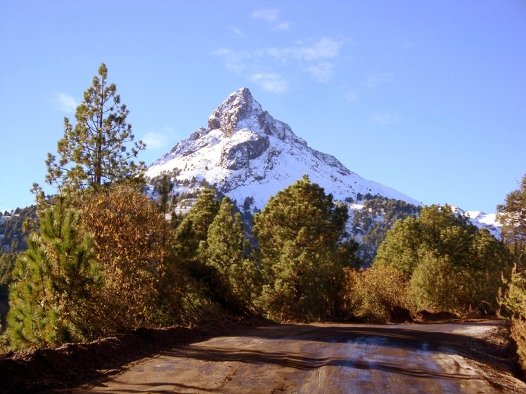 Peack and Pines, Nevado de Colima