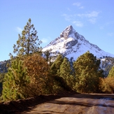 Peack and Pines, Nevado de Colima
