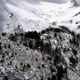 The Pines, Nevado de Colima