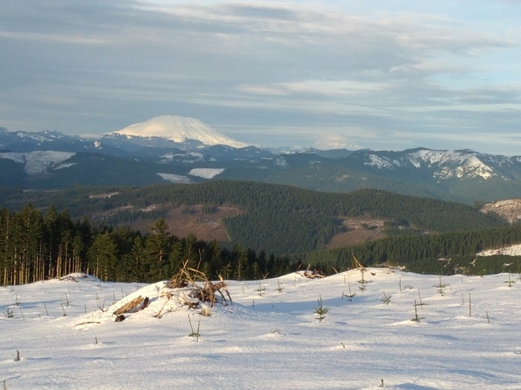 View from Larch Mountain, Larch Mountain (Clark County, Washington)