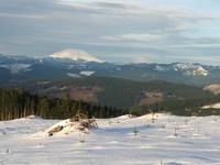 View from Larch Mountain, Larch Mountain (Clark County, Washington) photo