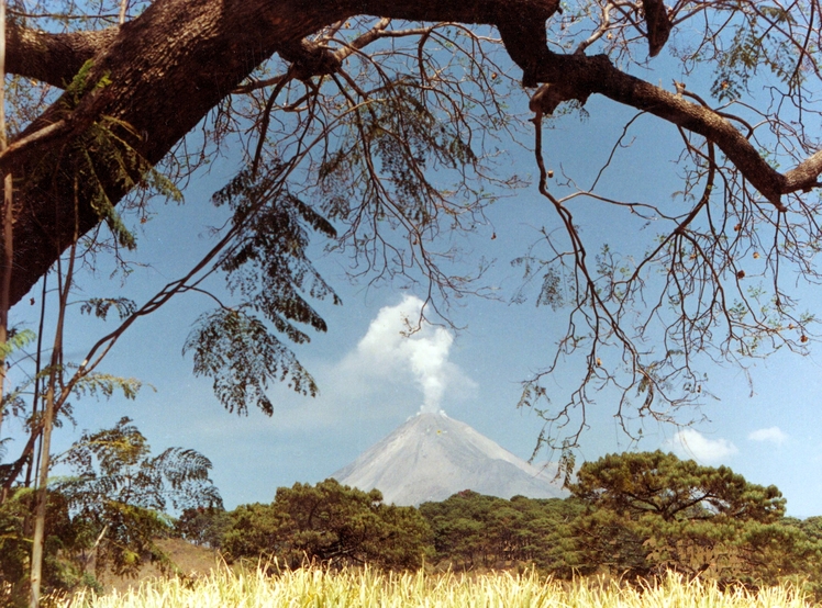 Fire Volcano and fumaroles El Colima, Nevado de Colima