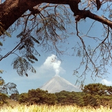 Fire Volcano and fumaroles El Colima, Nevado de Colima