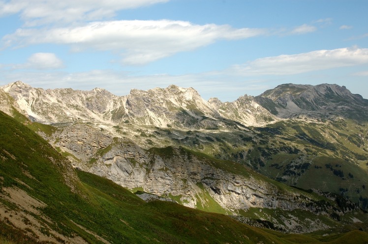 Großer Daumen