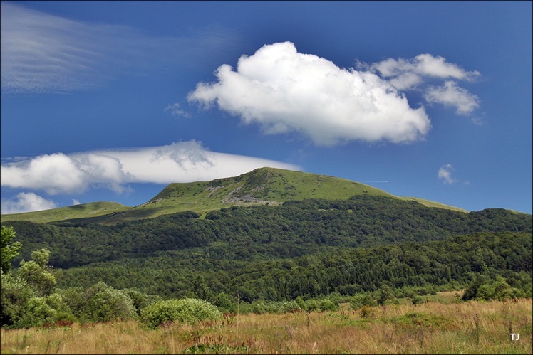 Tarnica