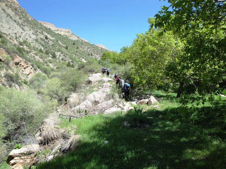 binalood  . derkht jovez, Mount Binalud