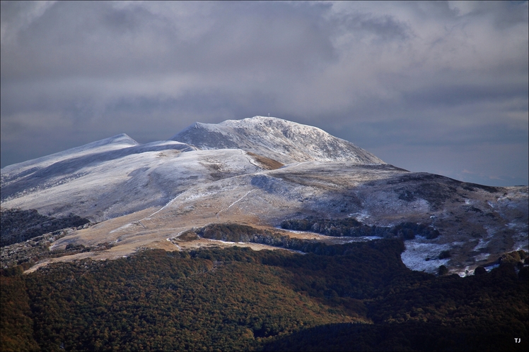 Tarnica weather