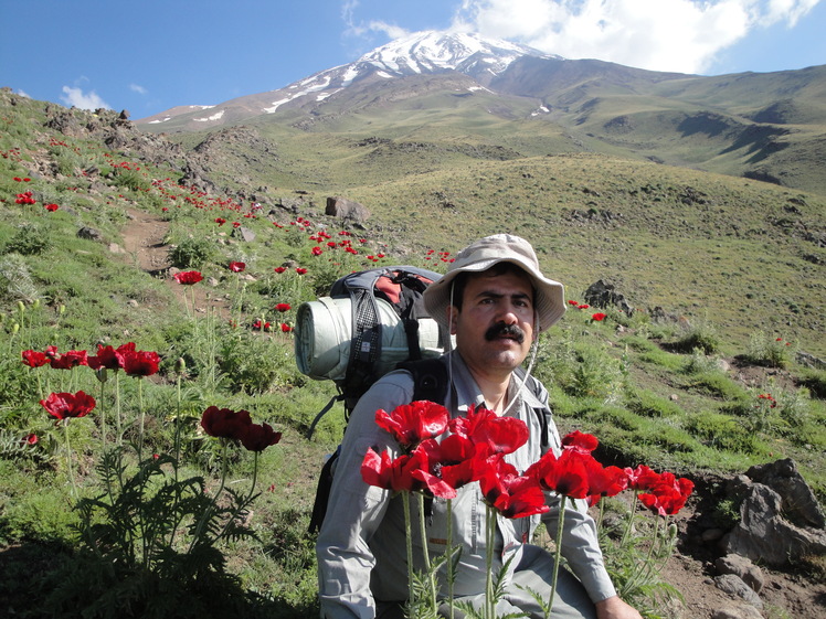 3teegh on damavand, Damavand (دماوند)