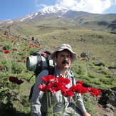 3teegh on damavand, Damavand (دماوند)