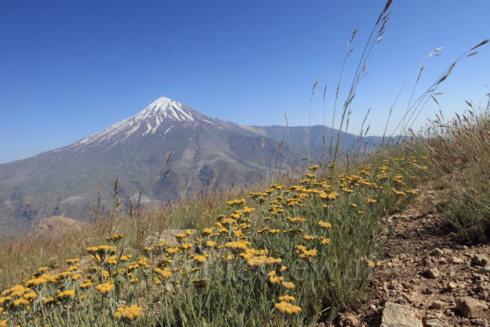 Mount Damavand, Damavand (دماوند)