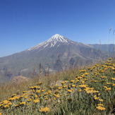 Mount Damavand, Damavand (دماوند)