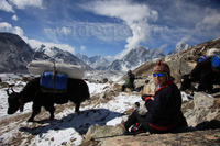 Khumbu Glacier, Khumbutse photo