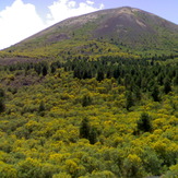 vesuvius