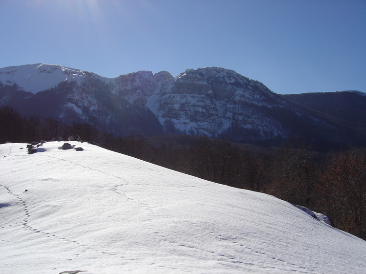 mount cervati