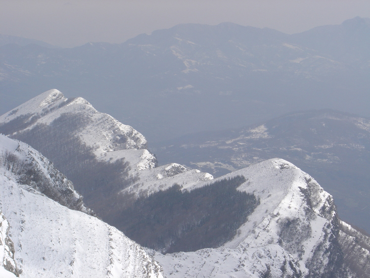 mount chianello, Cervati