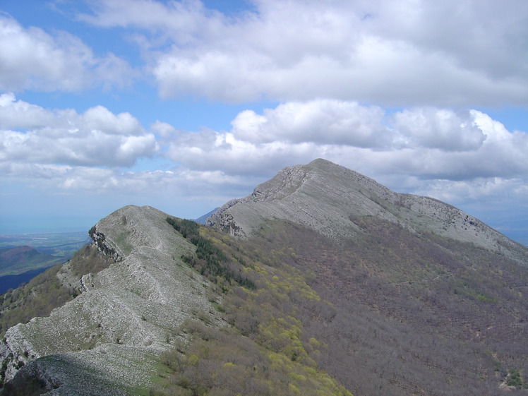 mount chianello, Cervati