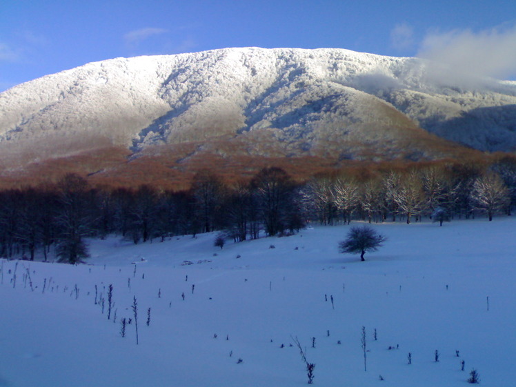 mount cervialto