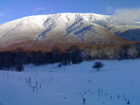 mount cervialto photo