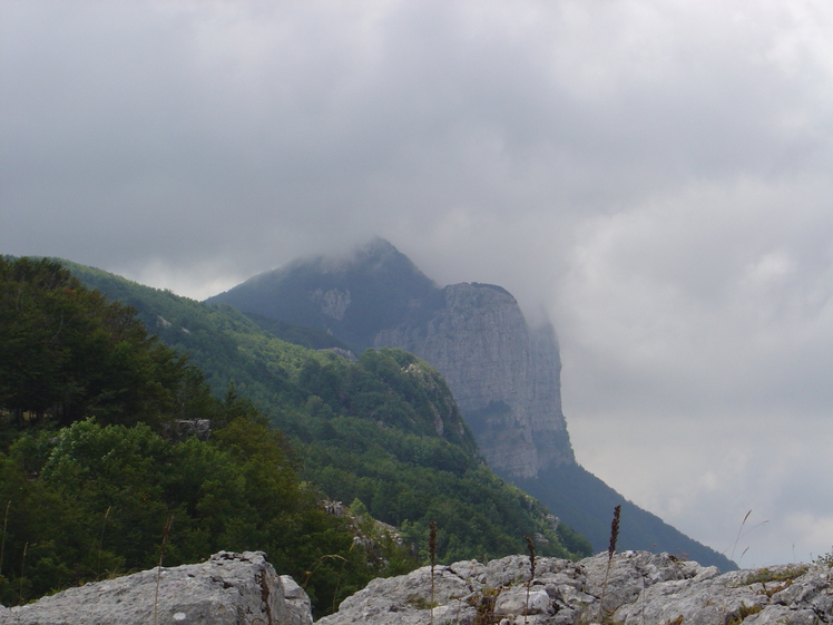 monte panormo, Alburni